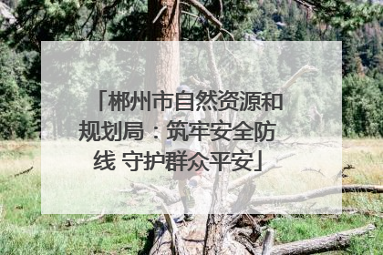 郴州市自然资源和规划局：筑牢安全防线 守护群众平安
