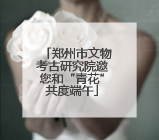 郑州市文物考古研究院邀您和“青花”共度端午
