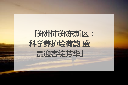 郑州市郑东新区：科学养护绘荷韵 盛景迎客绽芳华