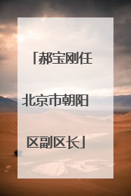 郝宝刚任北京市朝阳区副区长