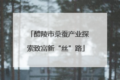 醴陵市桑蚕产业探索致富新“丝”路