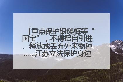 重点保护银缕梅等“国宝”，不得擅自引进、释放或丢弃外来物种……江苏立法保护身边的生物“朋友圈”