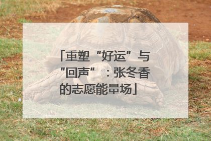 重塑“好运”与“回声”：张冬香的志愿能量场