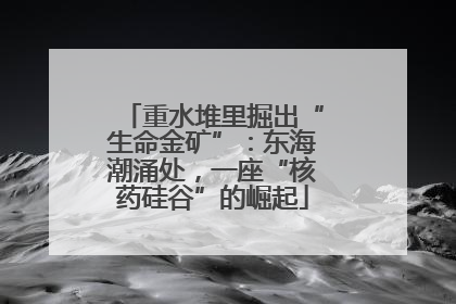 重水堆里掘出“生命金矿”：东海潮涌处，一座“核药硅谷”的崛起
