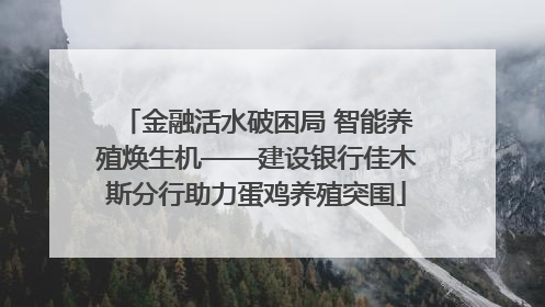 金融活水破困局 智能养殖焕生机——建设银行佳木斯分行助力蛋鸡养殖突围