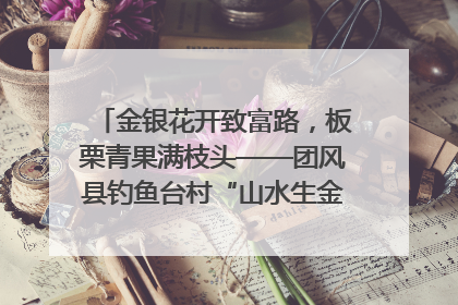 金银花开致富路，板栗青果满枝头——团风县钓鱼台村“山水生金”谱写共富新篇章