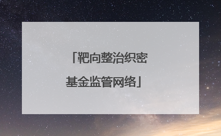 靶向整治织密基金监管网络