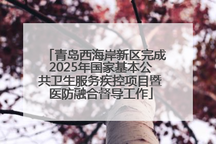 青岛西海岸新区完成2025年国家基本公共卫生服务疾控项目暨医防融合督导工作