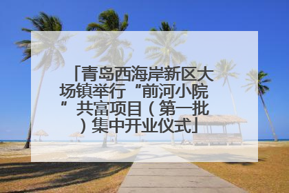 青岛西海岸新区大场镇举行“前河小院”共富项目（第一批）集中开业仪式