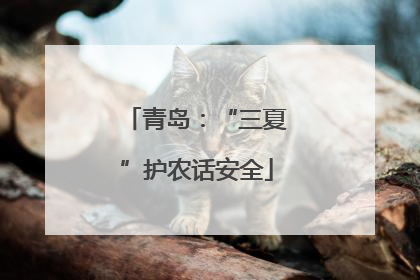 青岛：“三夏”护农话安全