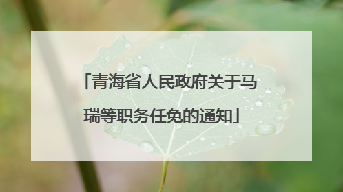 青海省人民政府关于马瑞等职务任免的通知