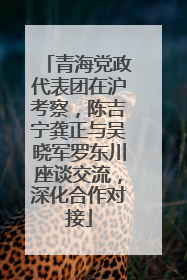 青海党政代表团在沪考察，陈吉宁龚正与吴晓军罗东川座谈交流，深化合作对接