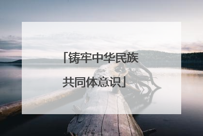 铸牢中华民族共同体意识