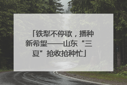 铁犁不停歇，播种新希望——山东“三夏”抢收抢种忙