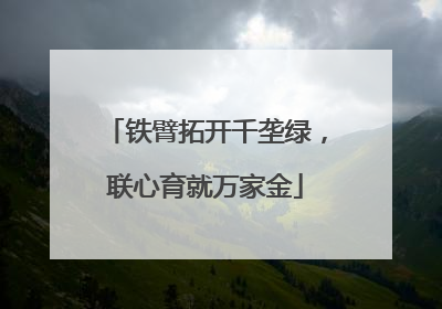 铁臂拓开千垄绿，联心育就万家金