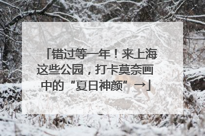 错过等一年！来上海这些公园，打卡莫奈画中的“夏日神颜”→