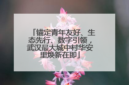 锚定青年友好、生态先行、数字引领，武汉最大城中村华安里焕新在即