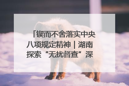 锲而不舍落实中央八项规定精神｜湖南探索“无扰督查”深化基层减负