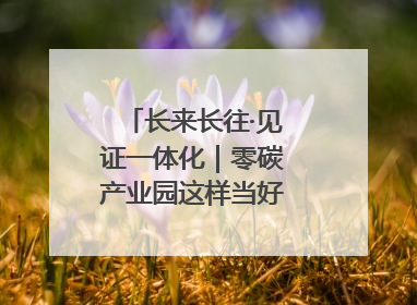 长来长往·见证一体化｜零碳产业园这样当好“碳”路先锋