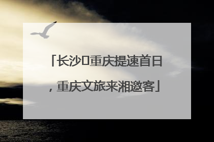 长沙⇌重庆提速首日，重庆文旅来湘邀客