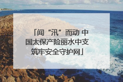 闻“汛”而动 中国太保产险丽水中支筑牢安全守护网