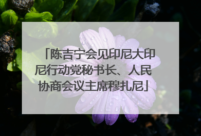 陈吉宁会见印尼大印尼行动党秘书长、人民协商会议主席穆扎尼