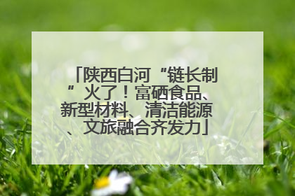 陕西白河“链长制”火了！富硒食品、新型材料、清洁能源、文旅融合齐发力