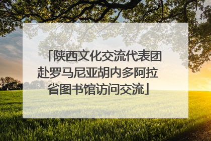 陕西文化交流代表团赴罗马尼亚胡内多阿拉省图书馆访问交流