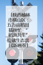 陕西榆林市横山区：五万亩稻田插秧忙 “稻渔共生”绘就生态富民新画卷