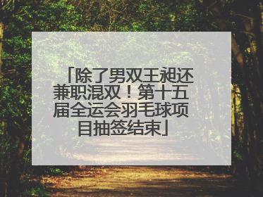 除了男双王昶还兼职混双！第十五届全运会羽毛球项目抽签结束