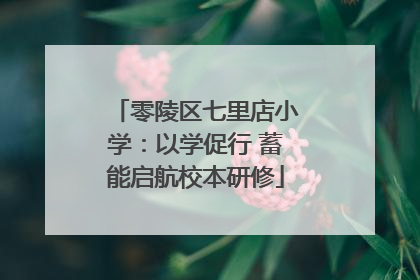 零陵区七里店小学：以学促行 蓄能启航校本研修