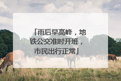 雨后早高峰，地铁公交准时开班，市民出行正常