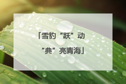雪豹“跃”动 “典”亮青海