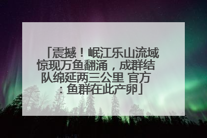 震撼！岷江乐山流域惊现万鱼翻涌，成群结队绵延两三公里 官方：鱼群在此产卵