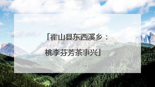 霍山县东西溪乡：桃李芬芳茶事兴