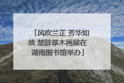 风吹兰芷 芳华如故 楚辞草木画展在湖南图书馆举办