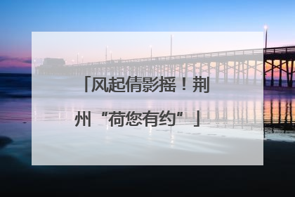 风起倩影摇！荆州“荷您有约”