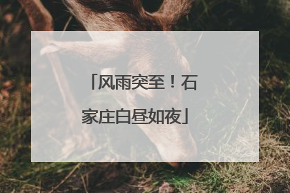 风雨突至！石家庄白昼如夜