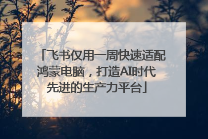 飞书仅用一周快速适配鸿蒙电脑，打造AI时代先进的生产力平台
