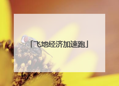 飞地经济加速跑