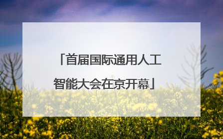 首届国际通用人工智能大会在京开幕