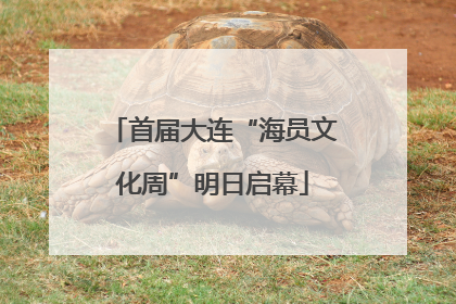 首届大连“海员文化周”明日启幕