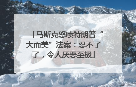 马斯克怒喷特朗普“大而美”法案：忍不了了，令人厌恶至极