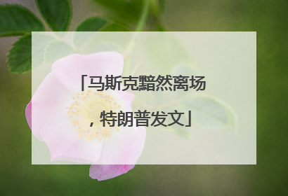 马斯克黯然离场，特朗普发文