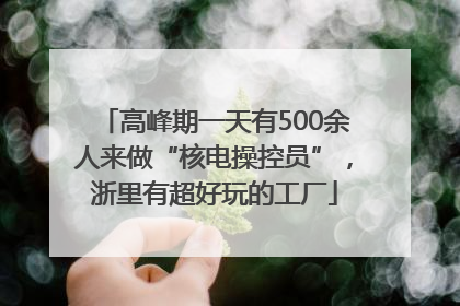 高峰期一天有500余人来做“核电操控员”，浙里有超好玩的工厂