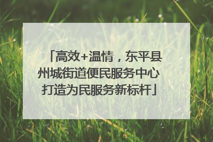 高效+温情，东平县州城街道便民服务中心打造为民服务新标杆