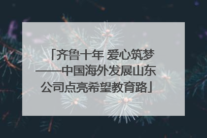 齐鲁十年 爱心筑梦——中国海外发展山东公司点亮希望教育路