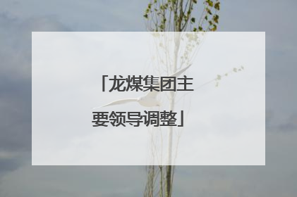 龙煤集团主要领导调整