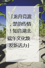 龙舟竞渡，楚韵传情！知音湖北端午文化焕发新活力