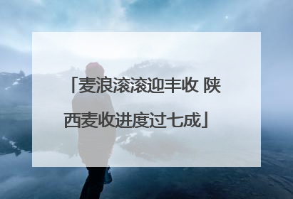 麦浪滚滚迎丰收 陕西麦收进度过七成